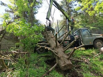 Lavice a stol zo 150 r.jedli - 6