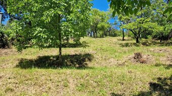 Na predaj rekreačný pozemok 2 920 m², Nové Mesto nad Váhom - 6