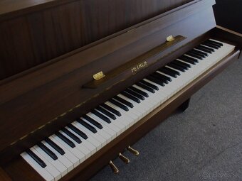 Petrof expotrný kus zo západnej Európy - 6