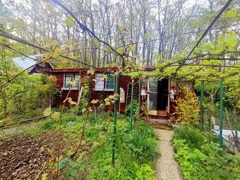 Predaj, záhradnej chaty v Poltári časť Kúpna Baňa - 6