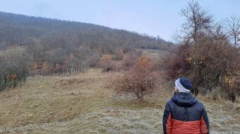 pozemok vinohrad Hrušov, 1361m2 - 6