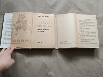 Marija Jurič Zagorka: Sokyňa Márie Terézie,Dvorná Kamarila - 6