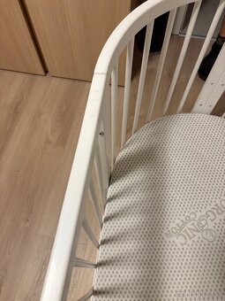 Rastúca postielka - 6