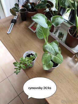 Izbovky - 6