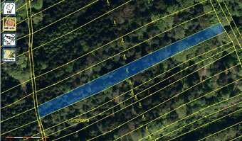 Prodej lesů o rozloze 12 421 m² katastr Šanov - 6