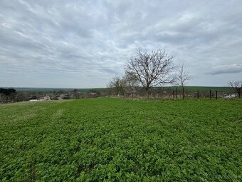 Rodinný dom s pozemkami o výmere 3755 m² ideálny na výstavbu - 6