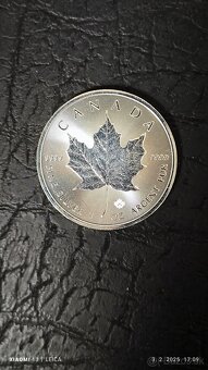 Strieborné mince, 2 x 1 oz Maple Leaf Canada 2020 5 Dollar - 6