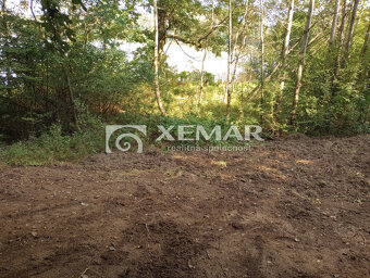 Predaj pozemok 7452m2 v obci Revištské Podzámčie, okres Ž... - 6