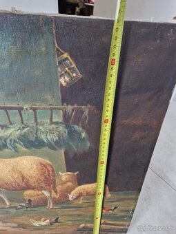 Obraz maľba na platne ovečky - 6