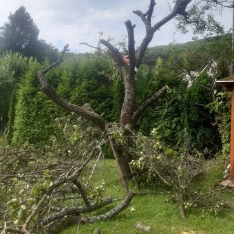 VYPRATÁVANIE POZEMKOV A BYTOV ,KOŠICE 0908222911 NONSTOP - 6