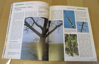 Řez, tvarování a roubování ovocných stromu - 6
