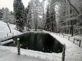 Predaj čerstvých BIO lososovitých rýb pstruhy ryby - 6