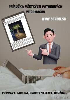 AKTUÁLNE❗PLETENÁ VŔBA, AMERICKÁ vŕba Salix ❗180CM ❗CELÉ SK❗ - 6