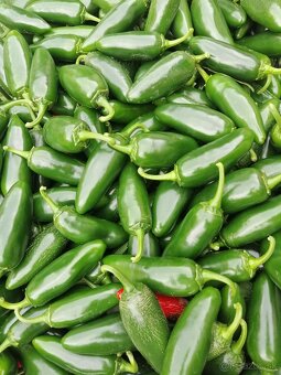 Predaj Jalapeňo čerstvých papričiek - 6
