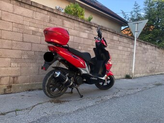 Polly 50 2t - 6