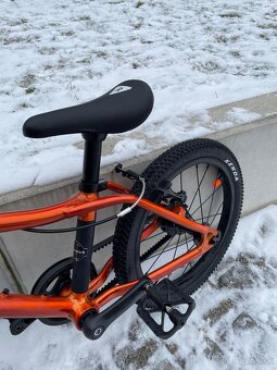 Rascal 16" flame - 6