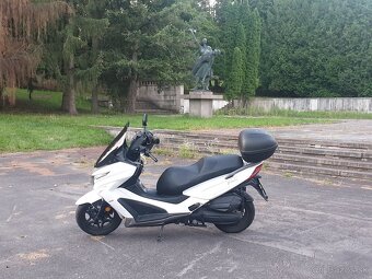 Kymco 125 - 6
