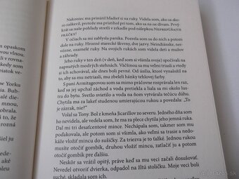 Lucia Berlin-Manuál pre upratovačky - 6