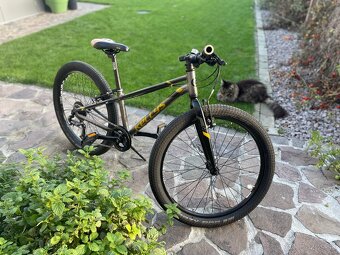 Kellys Kitter 90 - 6