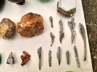 Zbierka minerálov a skamenelín - 6