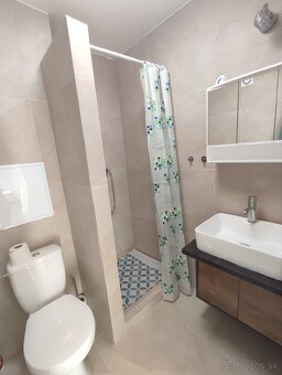 1izbový byt na prenajom - 6