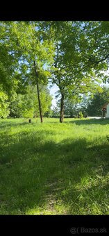 Ustajnenie - 6