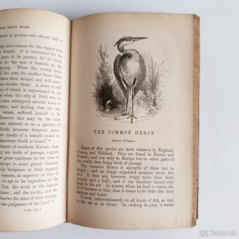Starožitná knižka – Zoológia – Murray – 1844 - 6