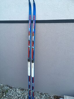 Bezky Fischer LS - 6