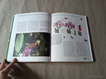 Malý záhradkár: Okno do prírody - 6