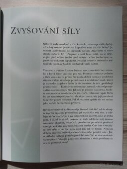 Duševní ochrana Jak stvořit pozitivní,obrannou ... - 6