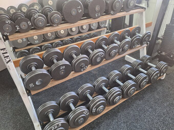 Pevné profi jednoruční činky 2,5 - 100kg - 6