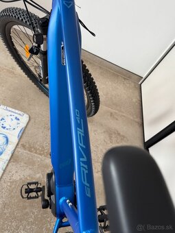 Amulet  29 E.Rival 4.0. SR Deep Blue /Light Blue - 6