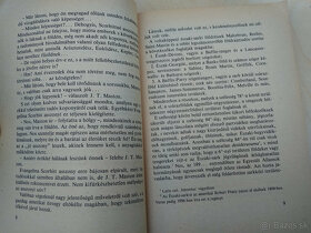 Jules Verne - Világferfoldulás A Francia zászló - 6