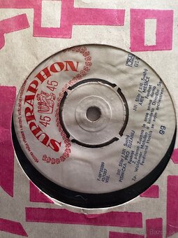 Gramofónové platne + pásky – retro zbierka - 6