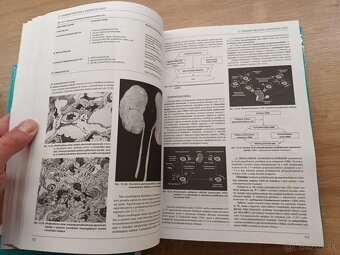 Pediatria I.,II., 1998 - 6