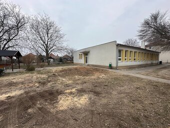 Arboristické práce - 6