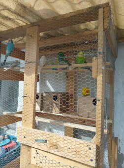 andulki - 6