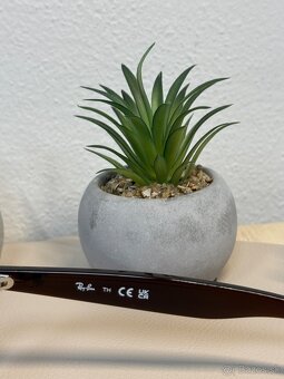 Ray Ban RB4202 ANDY - 6