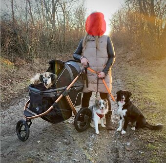 Kočík pre psa do 23 kg PetBuggy - 6