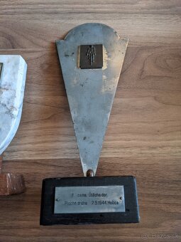 Poháre cyklopreteky 1944-1945, odznak 1981 - 6