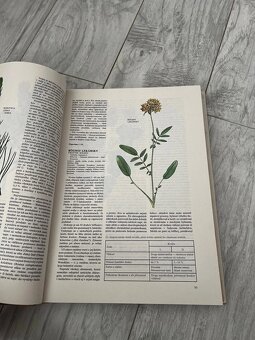 Atlas liečivých rastlín a lesných plodov - Kresánek J. - 6