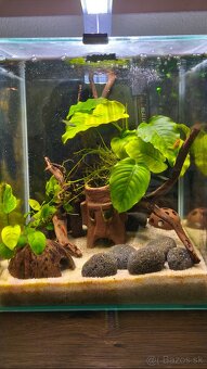 Akváriový set AQUAEL SHRIMP Day & Night 30 čierne (30 l) - 6