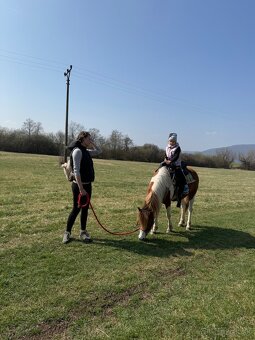 Pony kobylka - 6