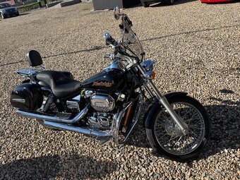 Honda VT 750 DC Black Widow - 6