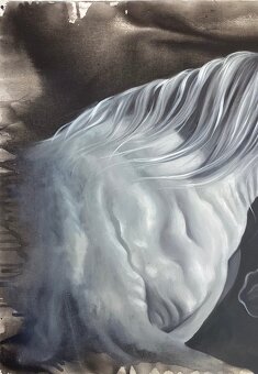 Olejomaľba -Alejandro Carballosa – „Symboly mieru“ - 6