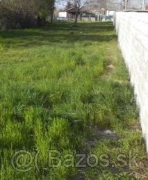 Predaj Záhrada & Pozemok 1641m² - 6