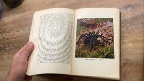 Alfred E. Brehm: Zo zivota zvierat 1 a 2 - 6