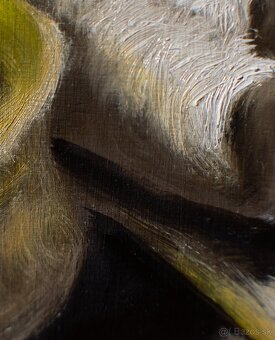 Zátišie s banánom - tradičná olejomaľba - 6