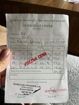 Velký světlý stříbřitý - 6