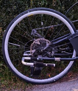 Shmicking Handbike - 6